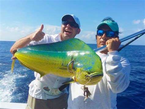 tulum charters|offshore fishing charters tulum mexico.